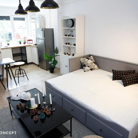 Roşu Avangarde Concept Studio מראה חיצוני תמונה